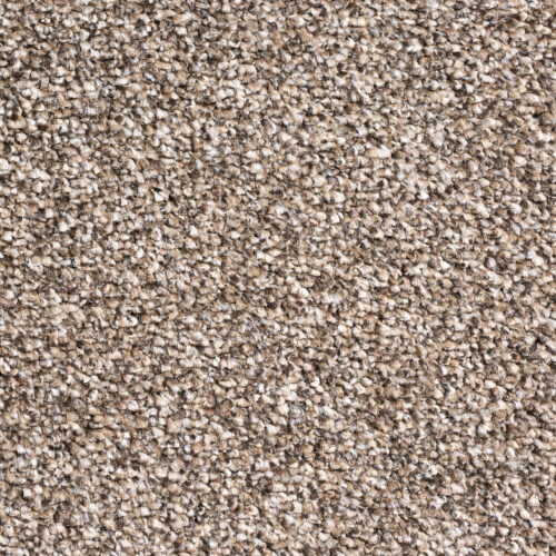 Elysium Twist Carpet Latte PR94