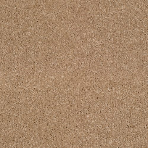 Pembridge Twist Carpet Almond 270