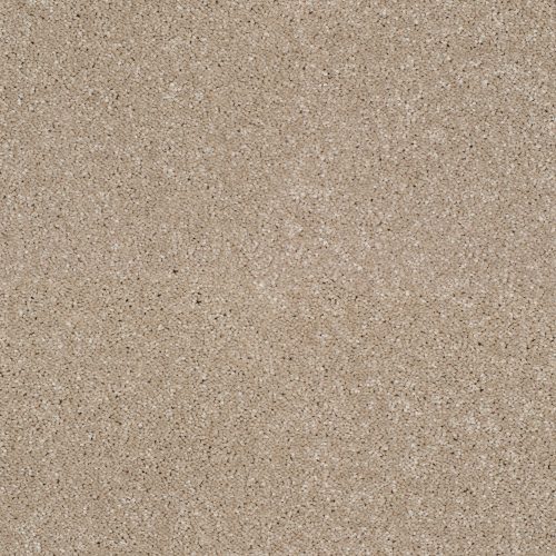 Pembridge Twist Carpet Alpaca 433