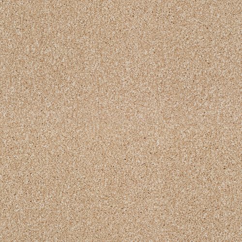 Pembridge Twist Carpet Flax 231