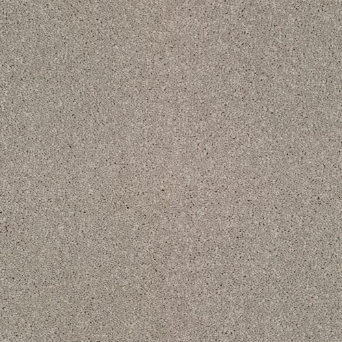 Pembridge Twist Carpet Paloma 862