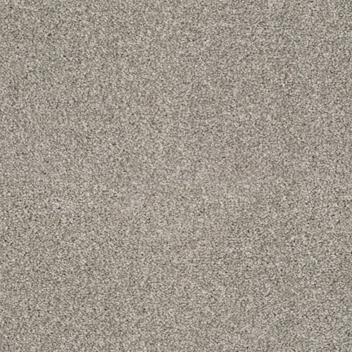 Pembridge Twist Carpet Soft Stone 881