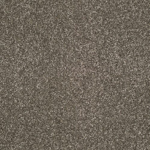 Pembridge Twist Carpet Titanium 833