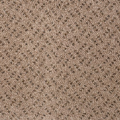 Scala-Classic-color-230-Flax