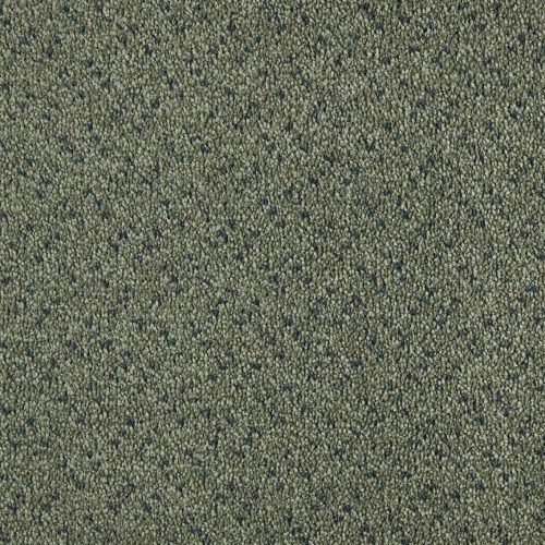 Scala-Classic-color-480-Barley